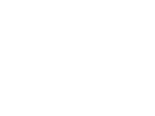 BRIDEface Richmond Logo